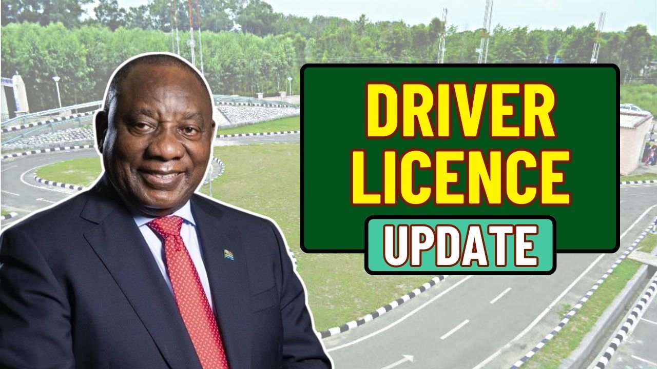 Driver Licence Update